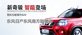 東風日產(chǎn)東風南方鼓樓店 網(wǎng)站建設(shè) 網(wǎng)站設(shè)計